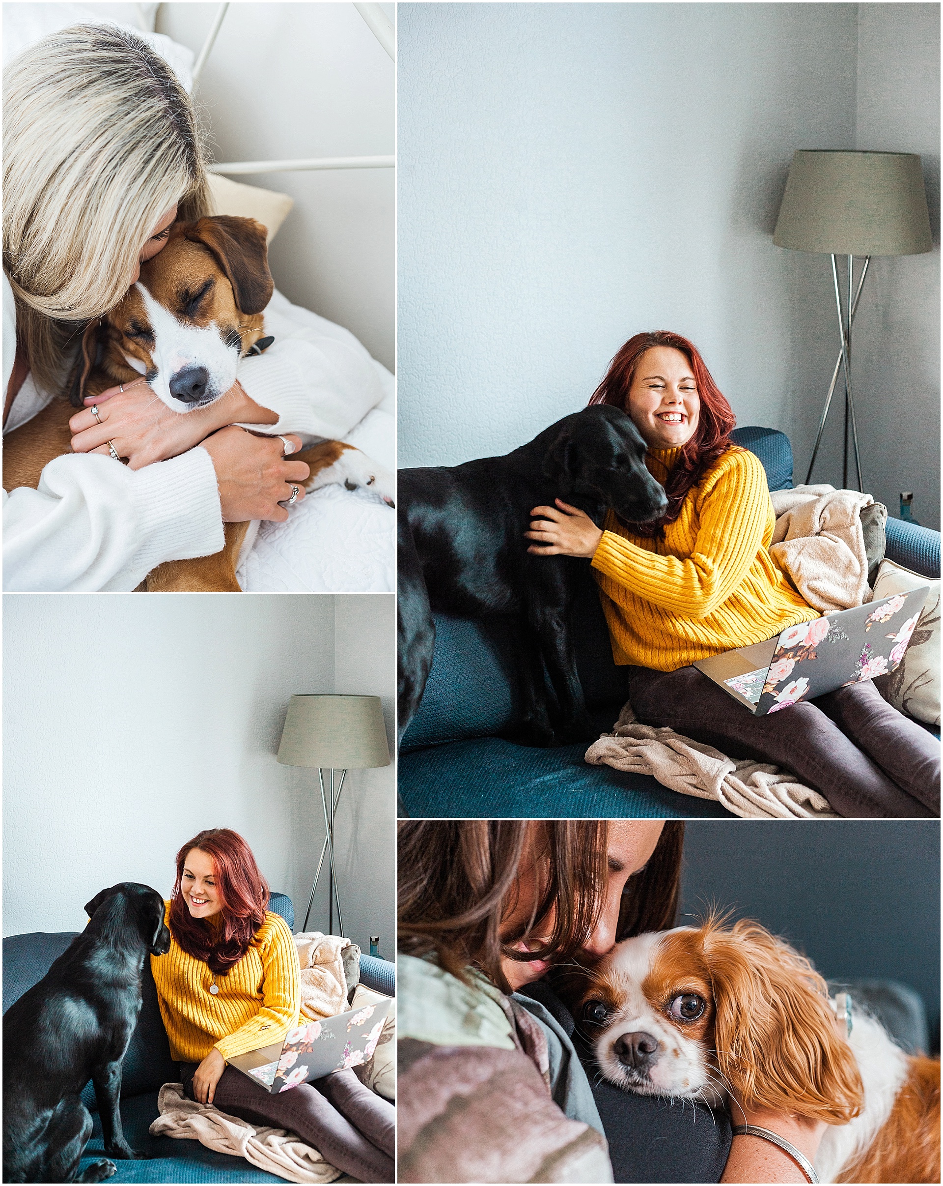 Four images of dogs on brand shoots, taken by London brand photographer AKP Branding Stories