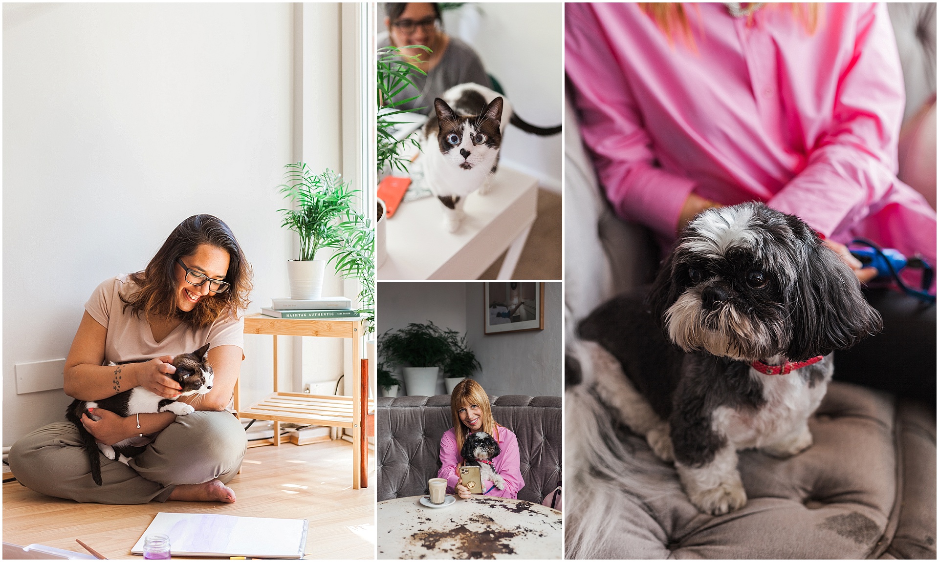 Four images of cats and  dogs on brand shoots, taken by London brand photographer AKP Branding Stories